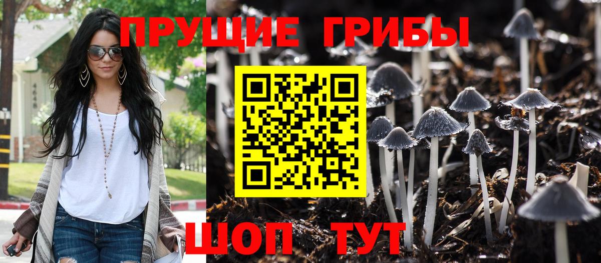 Татарск  Галлюциногенные грибы Cubensis  Вход с VPN 